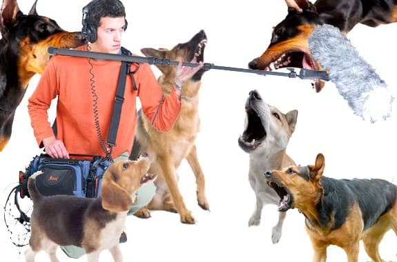 9 Key Tips When Scouting for Sound