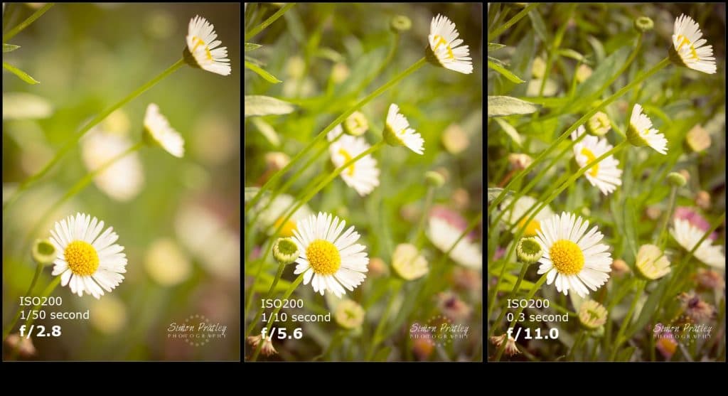 Lens Basics