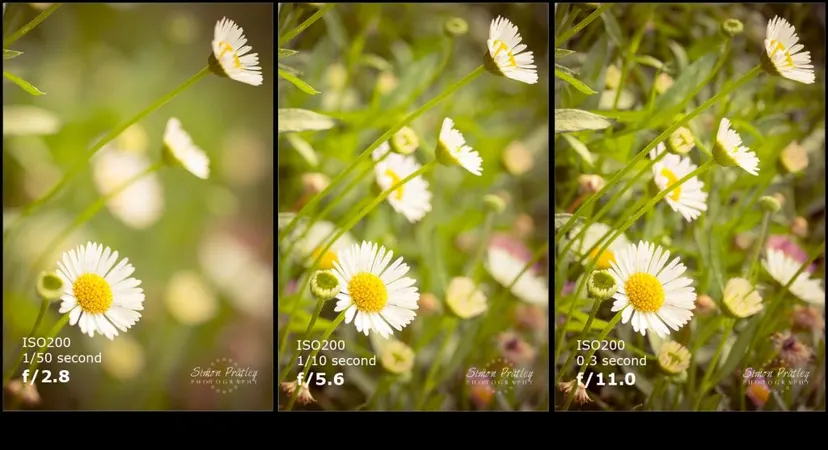 Lens Basics